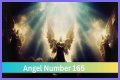 
ANGEL NUMBER 165
