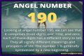
ANGEL NUMBER 190
