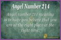 
ANGEL NUMBER 214
