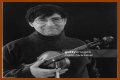 David Shapiro (musician)