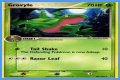 Grovyle (EX Emerald 28) - Bulbapedia, the community-driven Pokémon encyclopedia