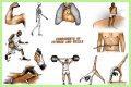 Single part of a gym exercise