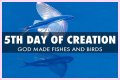 What did God create on the fifth day of creation?